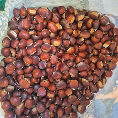 Arghjola Porto-Vecchio (Corsica)