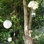 Bed and breakfast Arghjola Porto Vecchio