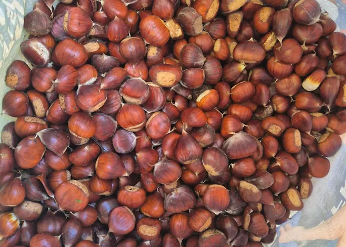 Arghjola Porto Vecchio