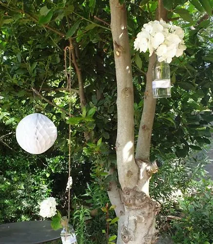 Bed and breakfast Arghjola Porto Vecchio